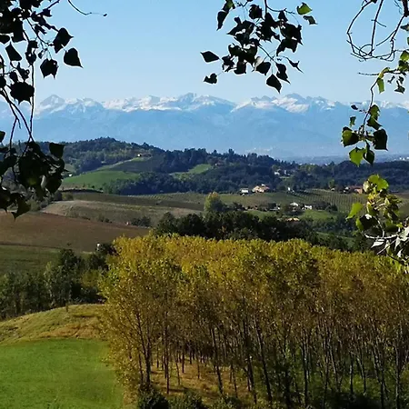 Il Piccolo Vigneto * Novello