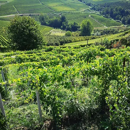 Apartman Il Piccolo Vigneto Novello